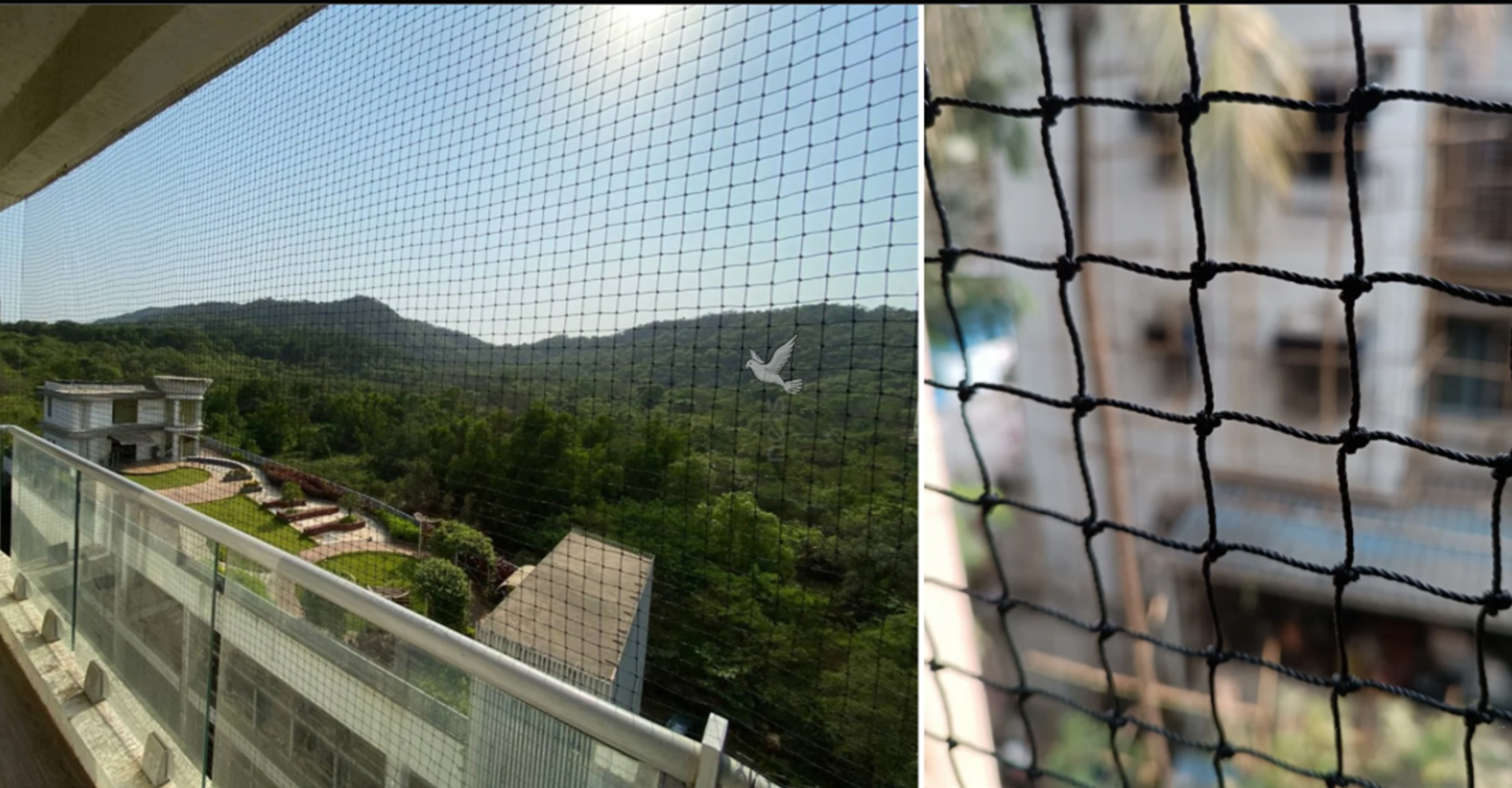 Bird net installation